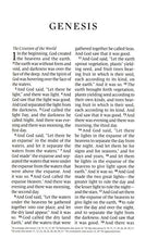 Load image into Gallery viewer, ESV Large Print Personal Size Bible