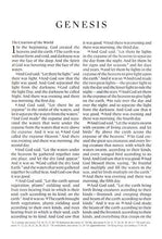 Load image into Gallery viewer, ESV Value Large Print Compact Bible