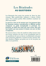 Load image into Gallery viewer, The daily Beatitudes