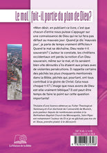 Load image into Gallery viewer, Is evil part of God's plan?