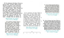 Charger l'image dans la galerie, Bible Darby bicolore - Similicuir, deux tons bruns souple, tranche dorée