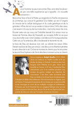 Load image into Gallery viewer, The miracle of the Spirit