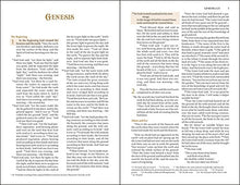 Charger l'image dans la galerie, NIV - God's Treasure Holy Bible: Golden promises and priceless stories