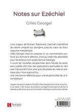 Load image into Gallery viewer, Notes on Ezekiel