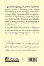 Load image into Gallery viewer, La chute de Jérusalem