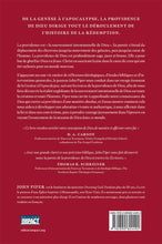 Load image into Gallery viewer, God's providence