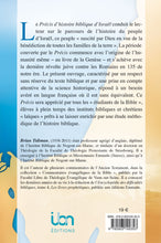 Load image into Gallery viewer, Summary of the biblical history of Israel