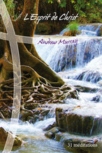 Load image into Gallery viewer, The Spirit of Christ