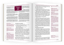 Load image into Gallery viewer, Bible explained