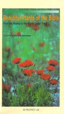 Beautiful plants from the Bible