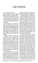 Load image into Gallery viewer, ESV Large Print Personal Size Bible
