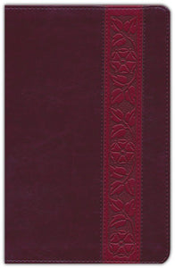 ESV Large Print Personal Size Bible