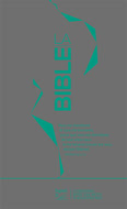 La Bible version Segond 21 slim bleue