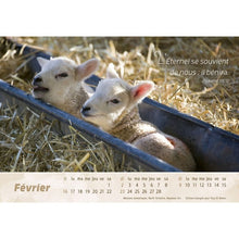 Load image into Gallery viewer, Calendar 2025 - The Good Shepherd
