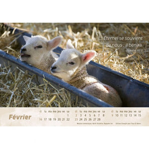 Calendar 2025 - The Good Shepherd