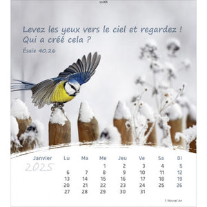 Calendar 2025 - Life for you