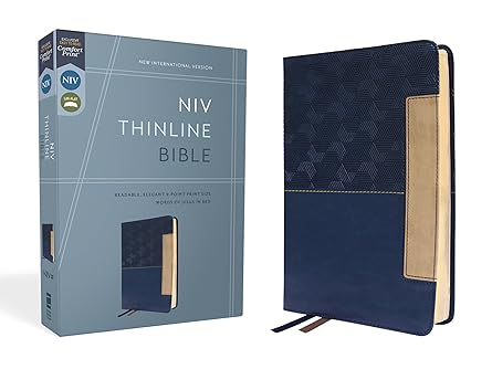 NIV - Thinline Bible (Blue)