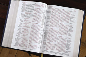 NIV - Thompson Chain-Reference Bible (Navy)