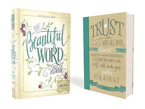 NIV - Beautiful Word Bible: 500 Full-Color illustrated Verses  (Hardcover)