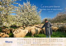 Load image into Gallery viewer, CAL - GOOD SHEPHERD 2
