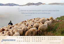 Load image into Gallery viewer, CAL - GOOD SHEPHERD 2
