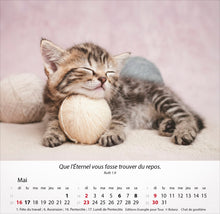 Charger l'image dans la galerie, Calendrier de bureau - Chats 2027
