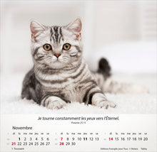 Charger l'image dans la galerie, Calendrier de bureau - Chats 2027
