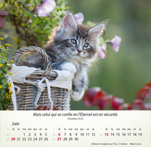Charger l'image dans la galerie, Calendrier de bureau - Chats 2027
