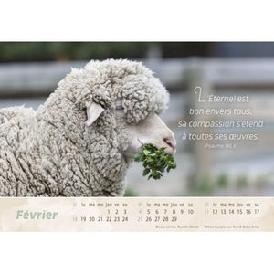 The Good Shepherd Calendar