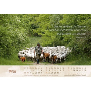 The Good Shepherd Calendar