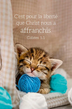 Charger l'image dans la galerie, Carte calendrier 2026 - Chat
