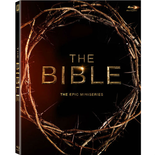 The Bible mini séries