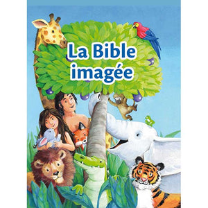 The illustrated Bible