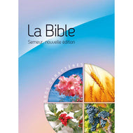 Sower Bible - Large Print Rigid Multi