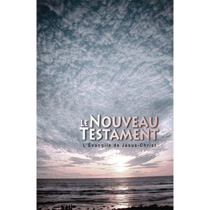 New Testament - Box of 42 units