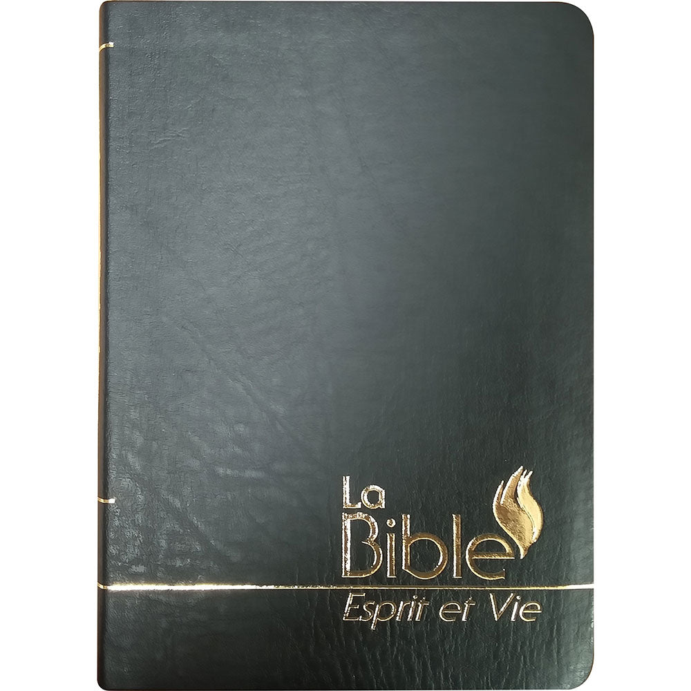 Bible Esprit et Vie - Duo Tone