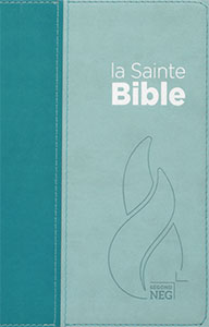 The Holy Bible Segond NEG version - vivella duo lagoon blue/sky blue