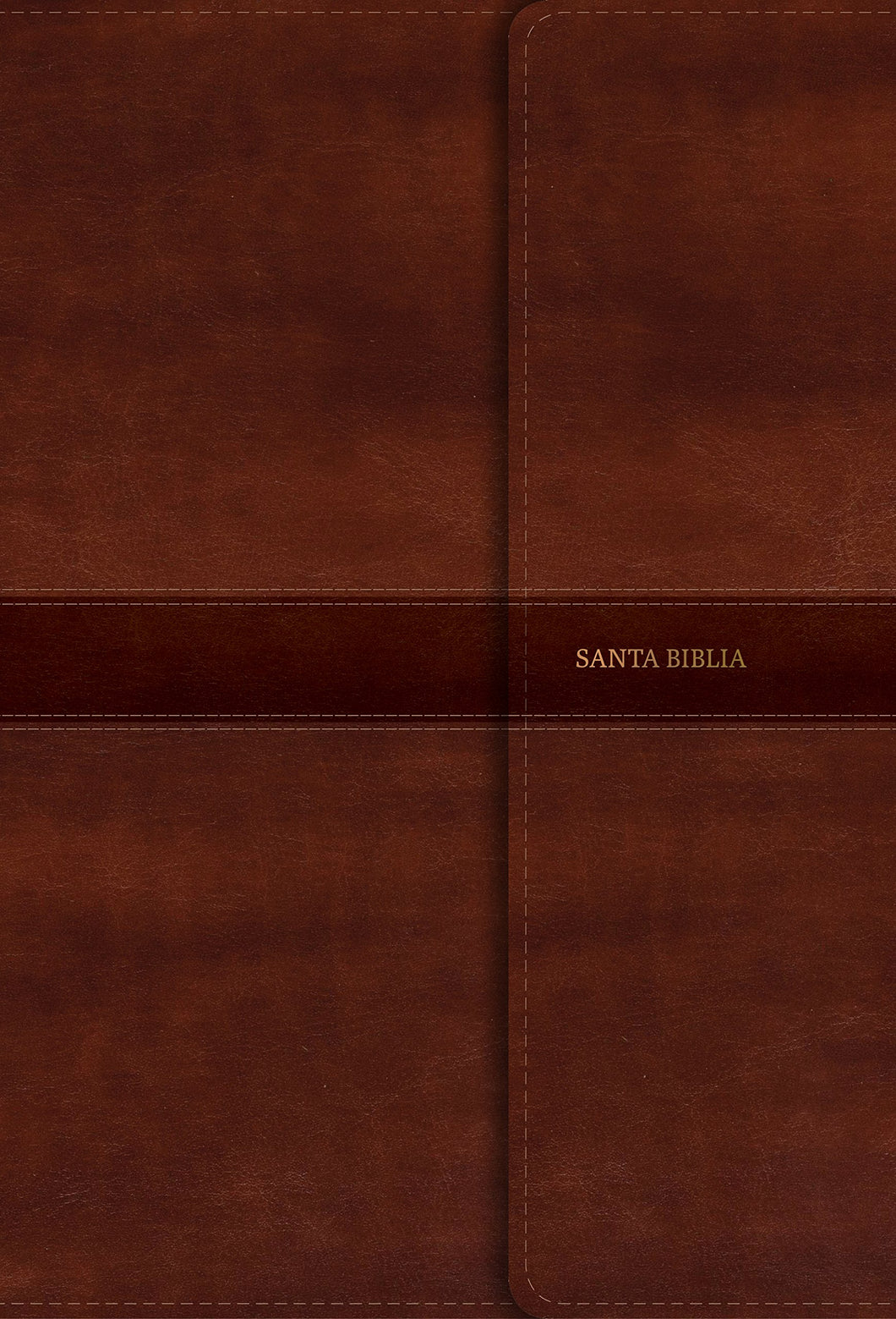 RVR 1960 Biblia Letra Gigante brown with references